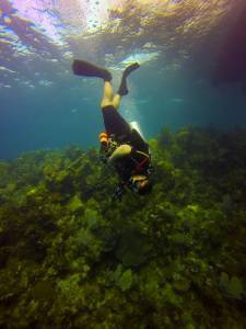 Yasmany Fuentes diving in Roatan, Honduras