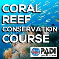 PADI-Coral-Reef-Conservation-Course-300x300