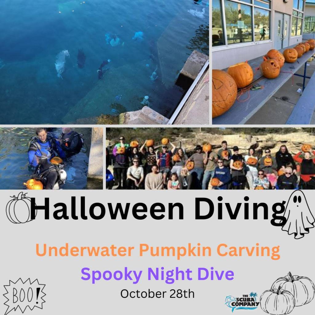 The Scuba Company's Halloween event at Blue Hole, on October 28th